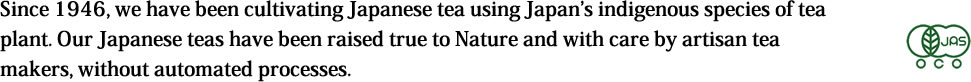 Since 1946, we have been cultivating Japanese tea using Japan’s indigenous species of tea plant. Our Japanese teas have been raised true to Nature and with care by artisan tea makers, without automated processes. 