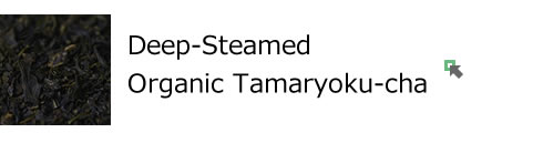Deep-Steamed Organic Tamaryoku-cha